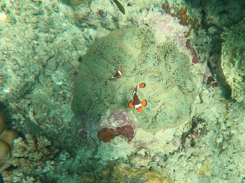 Catanduanes in 7 days: highlights, island tour, and relaxation - FAQ