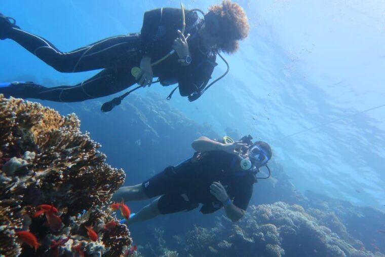 catania-diving-for-patented-divers