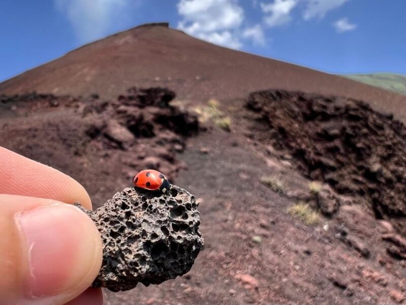 catania-etna-morning-excursion-with-tasting-and-pickup