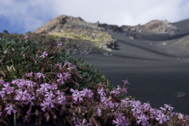 catania-etna-morning-or-sunset-trek-with-lava-tunnel-gear