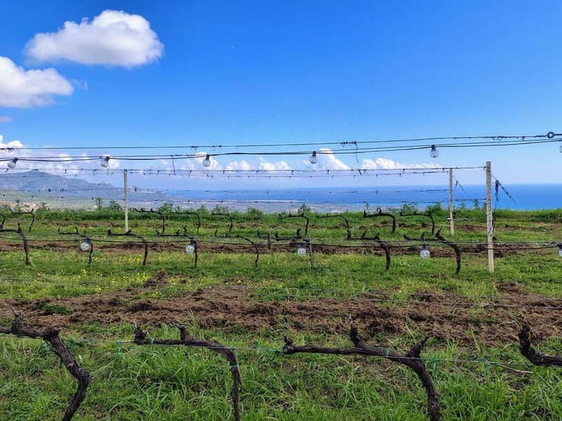 Catania: Etna South Wine & Sicilian Delights Tour - Discovering Mount Etna’s Unique Charm