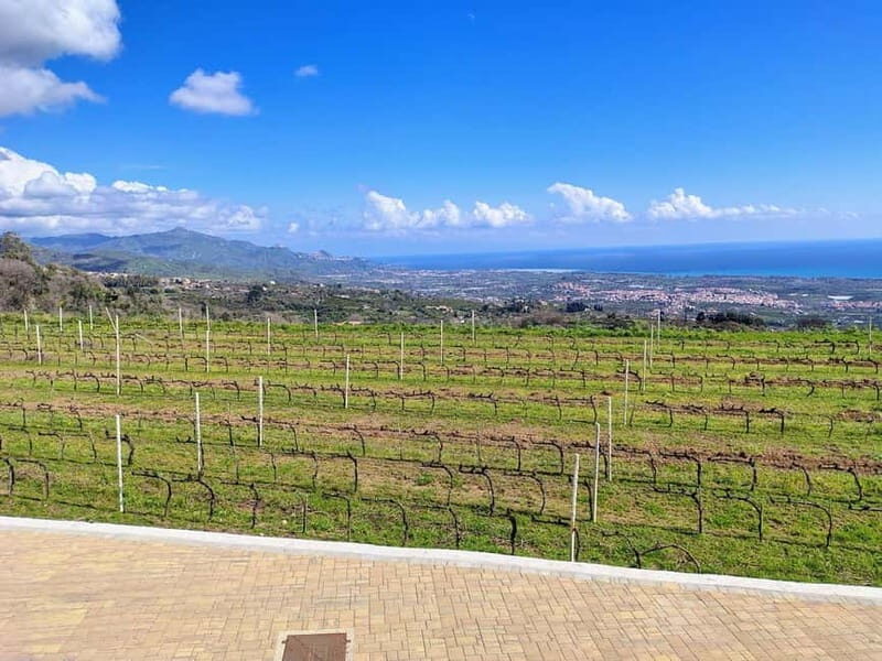 Catania: Etna South Wine & Sicilian Delights Tour - Final Thoughts