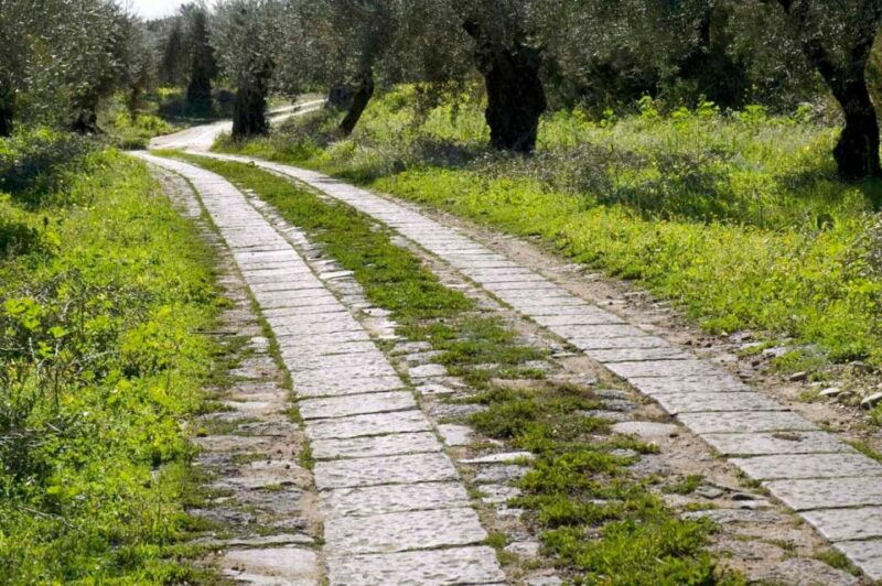 catania-gaspare-well-farm-guided-tour-with-tastings