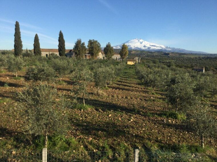 catania-gaspare-well-farm-guided-tour-with-tastings