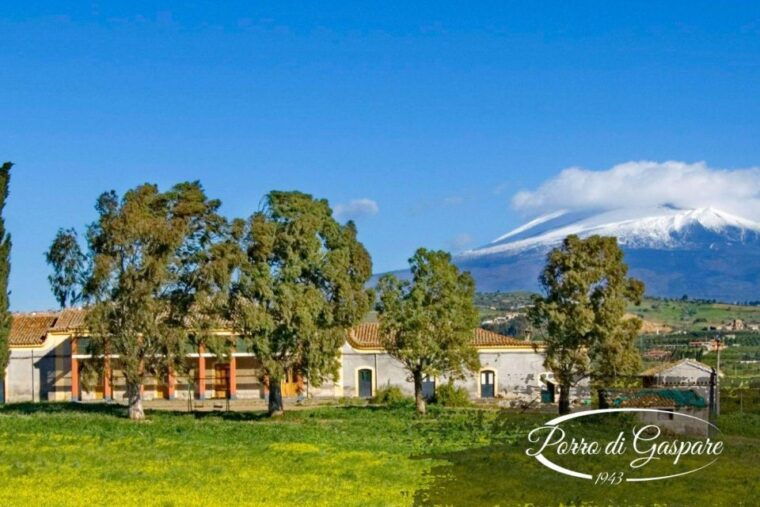 catania-gaspare-well-farm-guided-tour-with-tastings