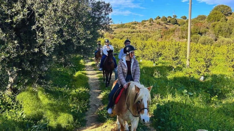 Catania: Guided Horseback Ride in Misterbianco Countryside - Key Points