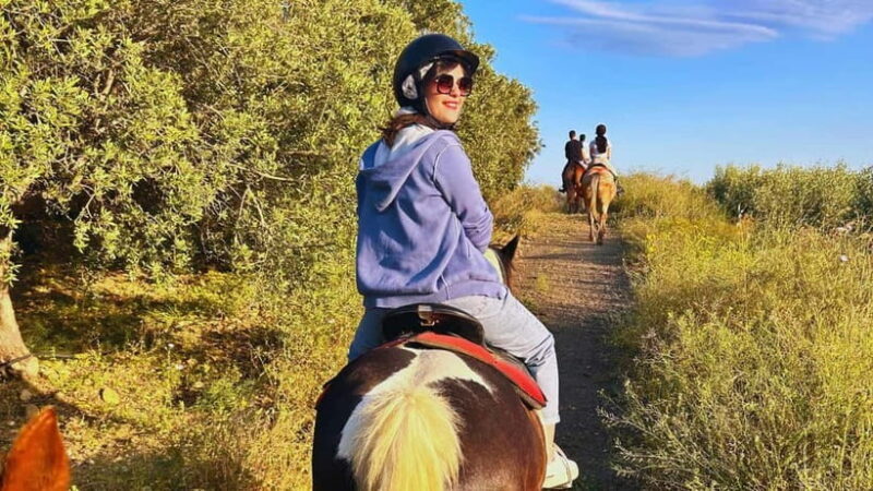 Catania: Guided Horseback Ride in Misterbianco Countryside - Who Should Consider This Tour?