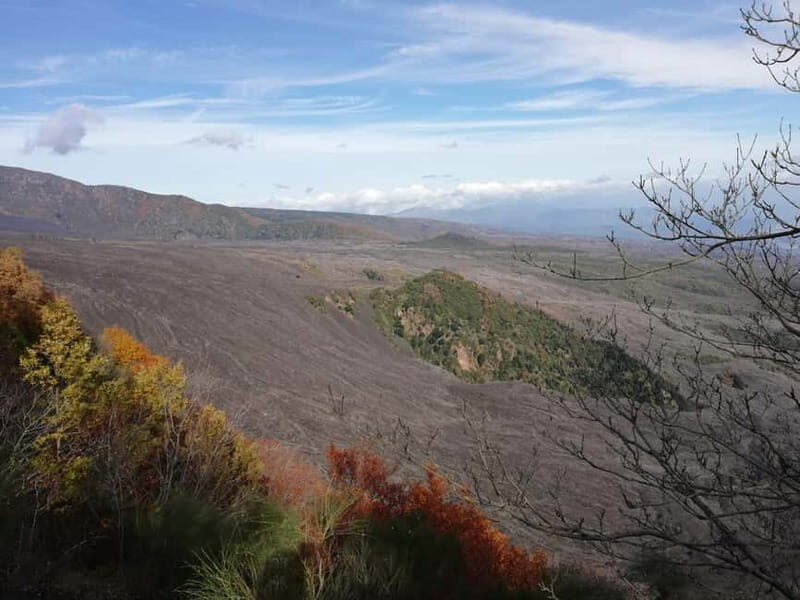Catania: Mount Etna and Alcantara River Guided Tour - Final Thoughts