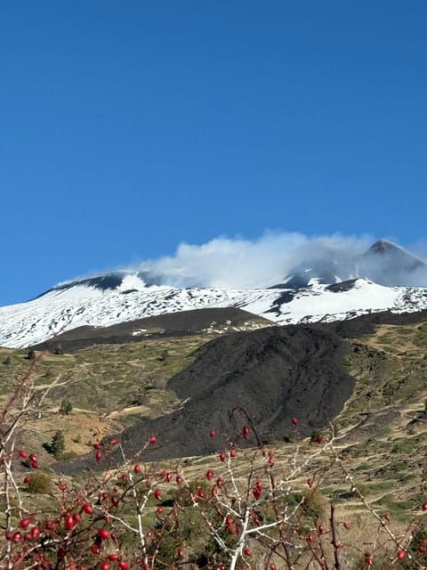 catania-mount-etna-morning-jeep-tour