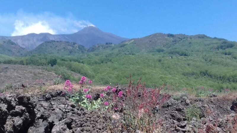 catania-mount-etna-sunset-tour-and-etna-doc-wine
