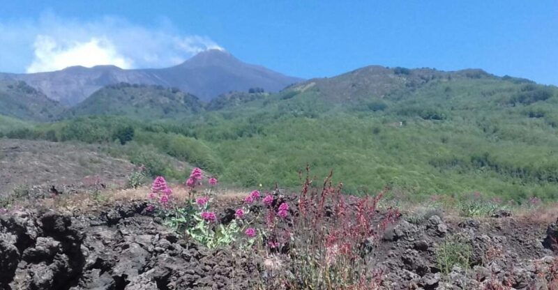 catania-mount-etna-sunset-tour-and-etna-doc-wine