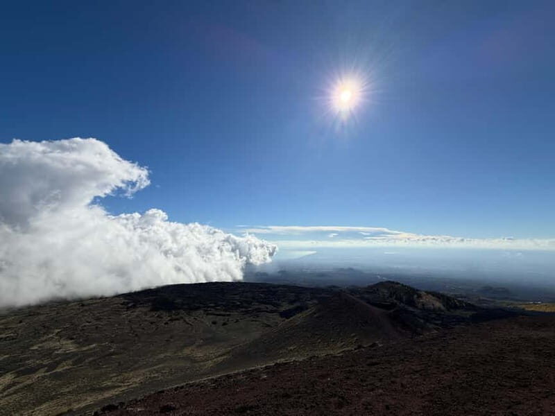 Catania: Mount Etna Tour with Cruise - Who Will Love This Tour