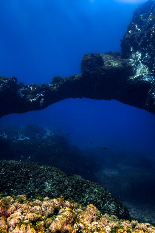 catania-scuba-diving-experience