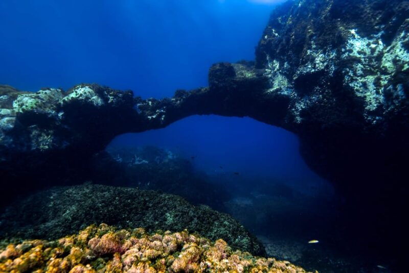 catania-scuba-diving-experience