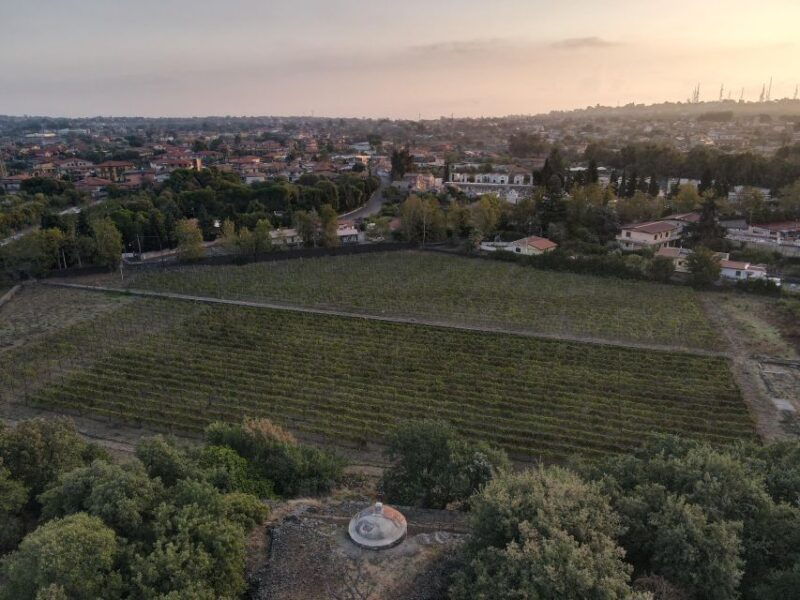 catania-sicilian-lunch-at-winery-with-wine-tasting