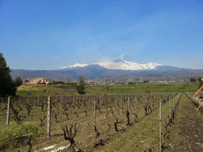 Catania : Wine and Lunch Tour - FAQ
