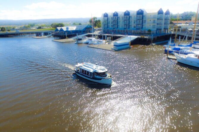 Cataract Gorge Cruise 11:30 am - Who Should Consider This Cruise?