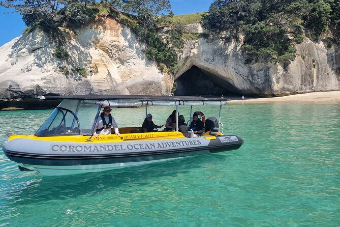 Cathedral Cove 2 Hour Guided Tour Explore Marine Wonders - Introduction: What to Expect from the Cathedral Cove Guided Tour