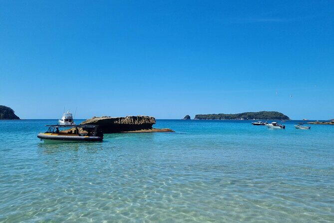 Cathedral Cove 2 Hour Guided Tour Explore Marine Wonders - Key Points