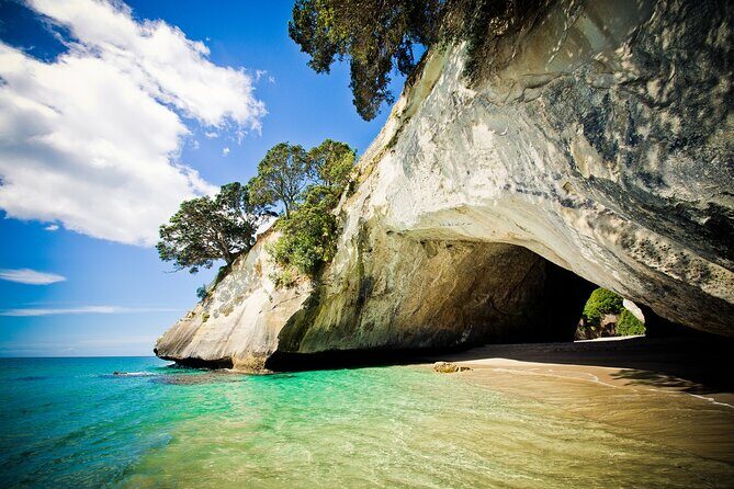 Cathedral Cove & Coromandel Peninsula Small-Group Day Tours - The Itinerary in Detail: What’s Included and What You’ll Experience