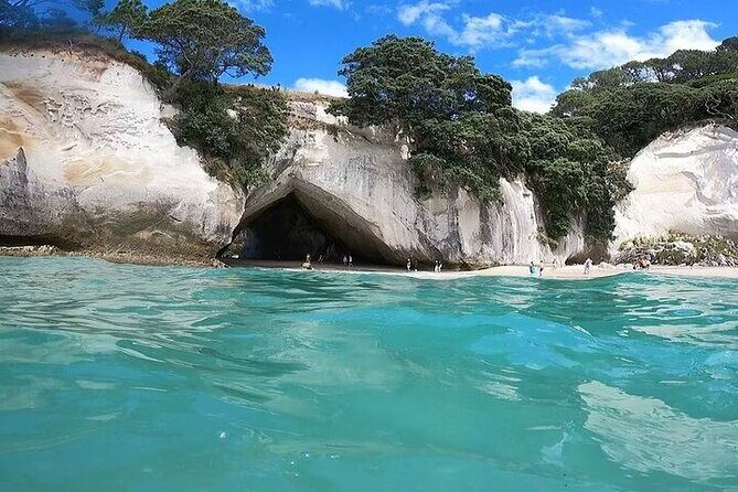 Cathedral Cove & Coromandel Private Experience from Auckland - Final Thoughts