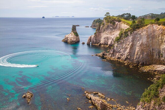 Cathedral Cove & Coromandel, Small-Group Tour from Auckland - An In-Depth Look at the Experience