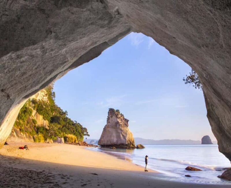 Cathedral Cove Electric Fat Tyre Bike Tour with Local Guide - Key Points