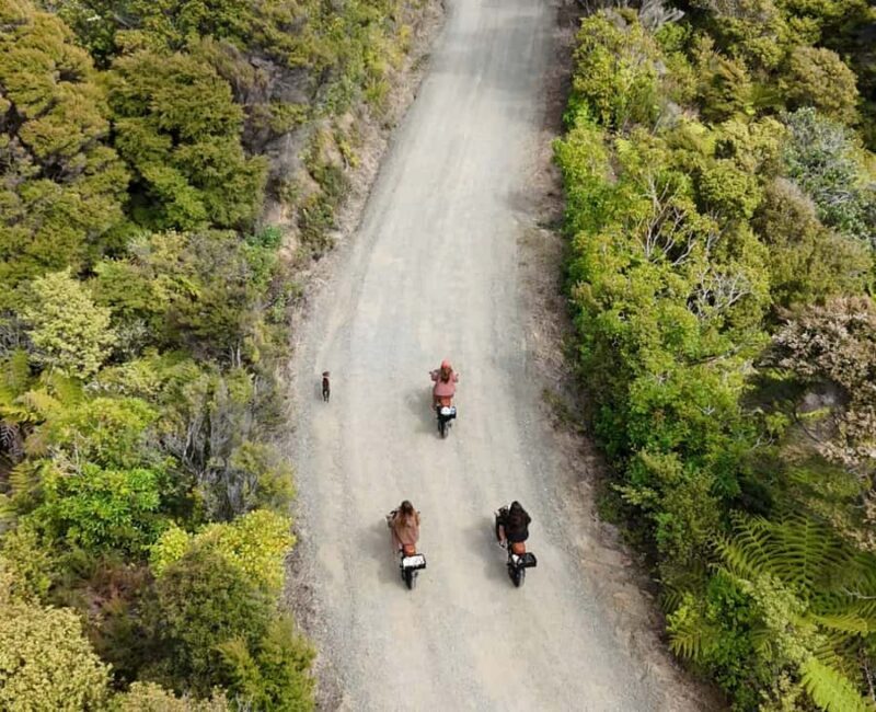 Cathedral Cove Electric Fat Tyre Bike Tour with Local Guide - An In-Depth Look at the Tour Experience