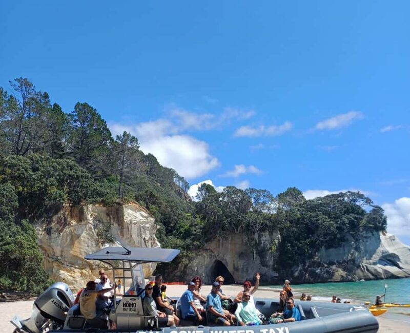 Cathedral Cove Electric Fat Tyre Bike Tour with Local Guide - Who Is This Tour Best For?