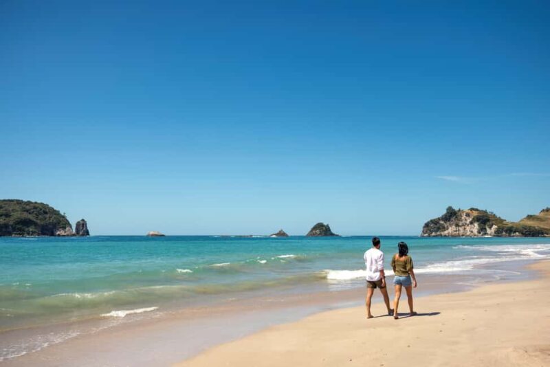 CATHEDRAL COVE & HOT WATER BEACH Day Tour from Auckland - Key Points