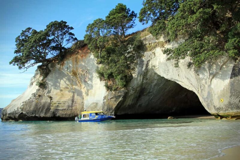 CATHEDRAL COVE & HOT WATER BEACH Day Tour from Auckland - An In-Depth Look at the Tour