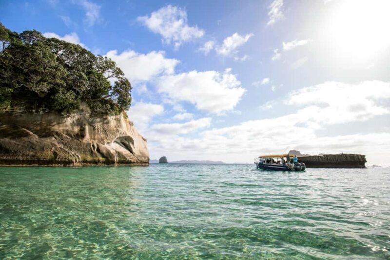 CATHEDRAL COVE & HOT WATER BEACH Day Tour from Auckland - Who Will Love This Tour?