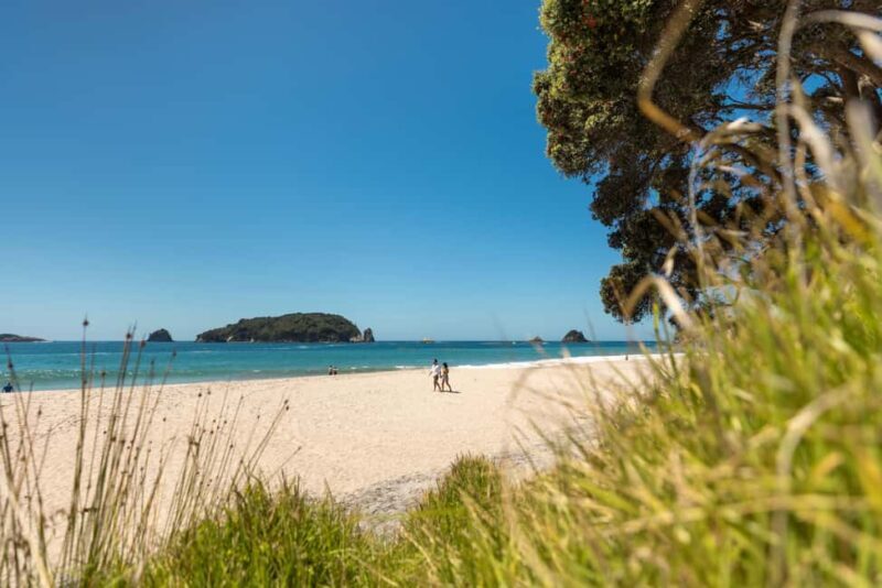 CATHEDRAL COVE & HOT WATER BEACH Day Tour from Auckland - The Sum Up: Is It Worth It?