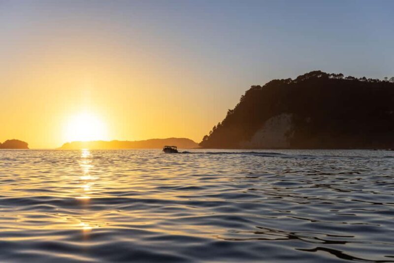 CATHEDRAL COVE & HOT WATER BEACH Day Tour from Auckland - FAQ
