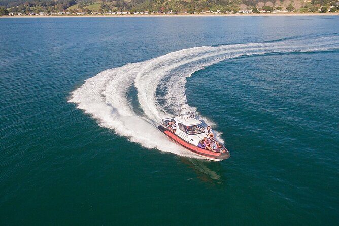 Cathedral Cove Scenic Cruises Whitianga - What to Expect on This Coastal Journey