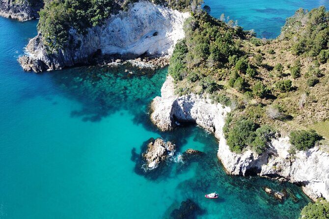 Cathedral Cove Scenic Cruises Whitianga - Visiting the Marine Reserve: Snorkeling and Wildlife