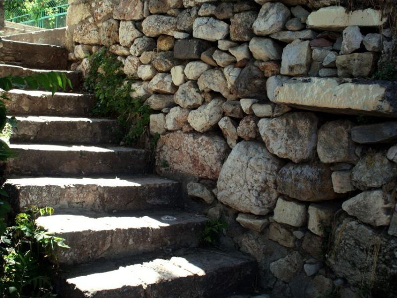 cats-of-athens-self-guided-mobile-tour-in-plaka
