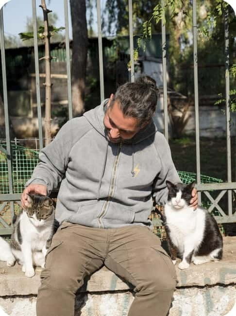 Cats of Athens - Walking Tour - Exploring the Cats of Athens - A Walking Tour That Charms and Connects