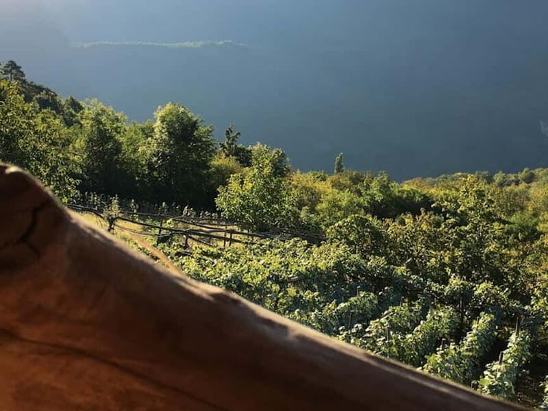 Caucasus: Wine Cellars Tour in Microzones of Racha-Lechkhumi - Final Thoughts: Is It Worth It?