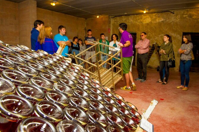 cava-making-experience-at-the-local-winery-in-barcelona
