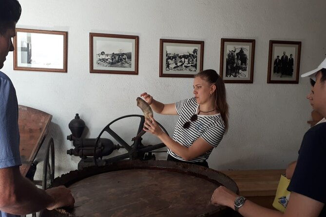 cava-tour-to-3-family-wineries-with-hotel-pick-up