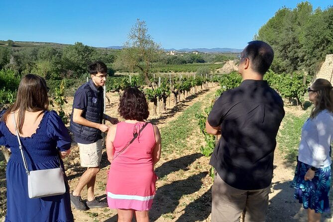 cava-tour-to-3-family-wineries-with-hotel-pick-up