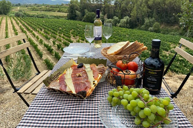 cava-tour-to-3-family-wineries-with-hotel-pick-up