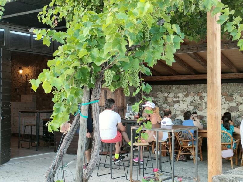 cavaion-lake-garda-wine-food-tasting-with-vineyard-tour