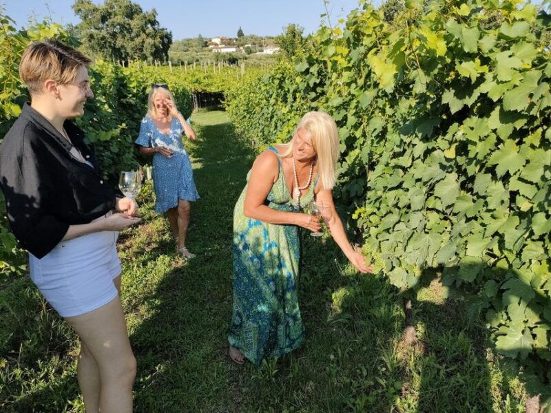 cavaion-lake-garda-wine-food-tasting-with-vineyard-tour