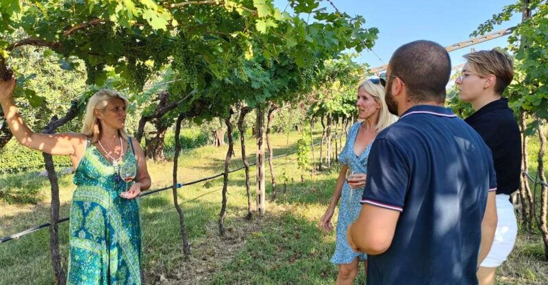cavaion-lake-garda-wine-food-tasting-with-vineyard-tour