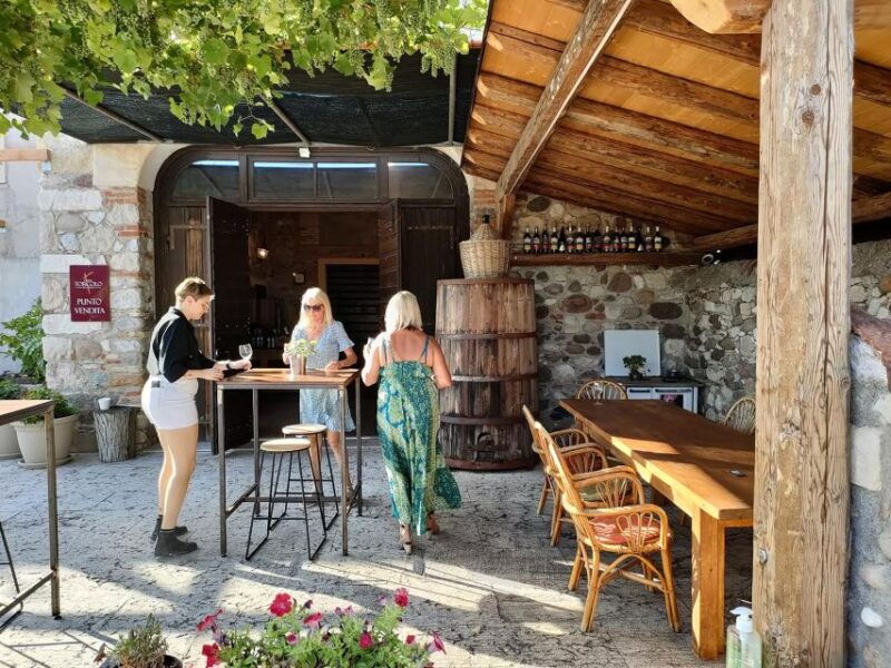 cavaion-lake-garda-wine-food-tasting-with-vineyard-tour