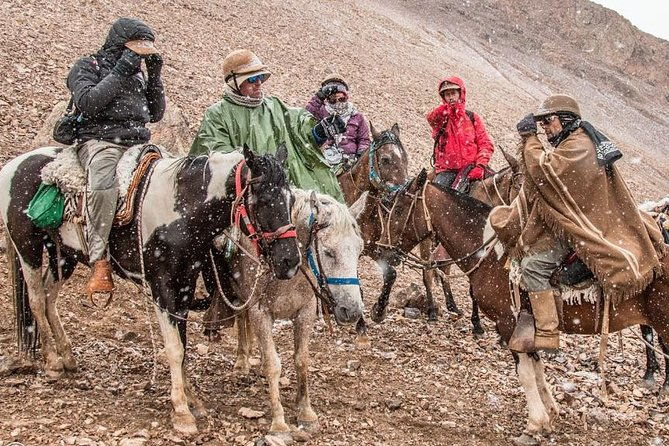 cavalcade-crossing-of-the-andes-san-martin-crossing