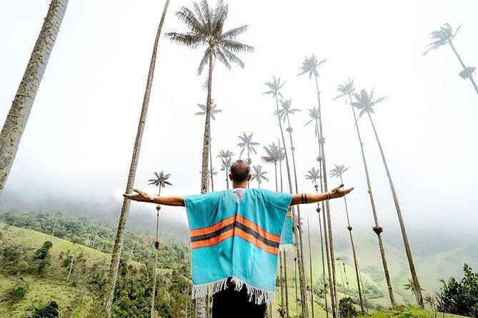 cavalcade-valley-of-cocora-lookout-two-and-river