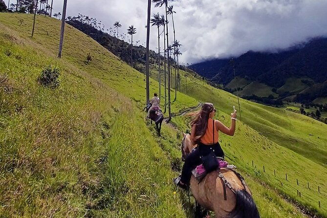cavalcade-valley-of-cocora-lookout-two-and-river